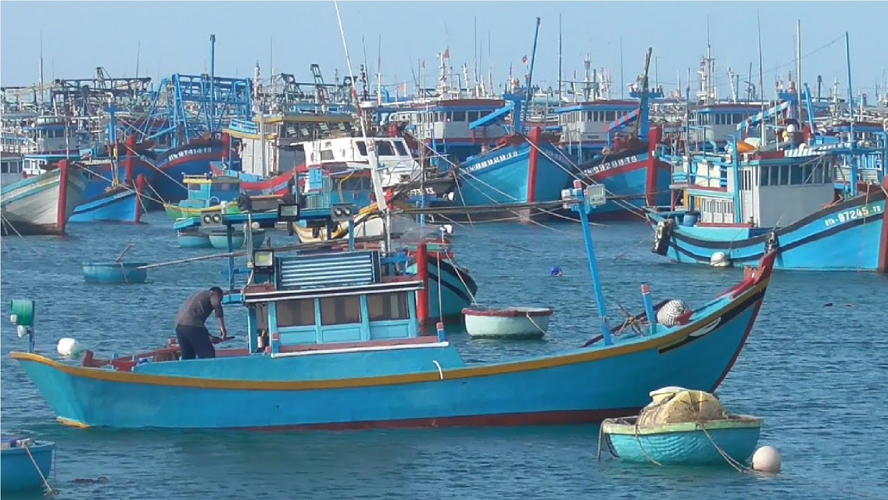 Mũi đá và sóng biển Phú Quý