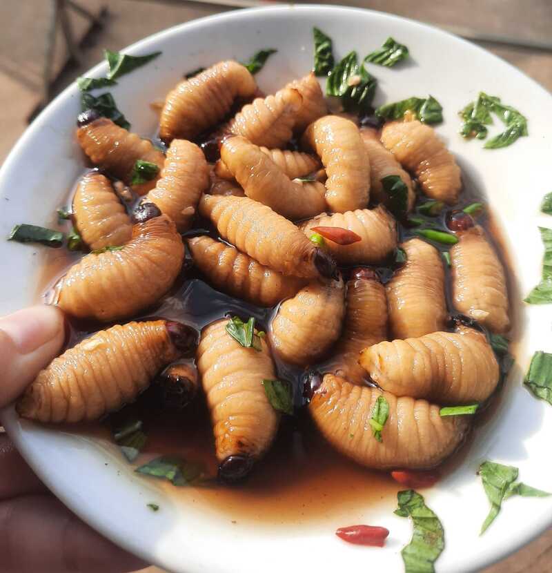 Đuông dừa đặc sản lạ miệng