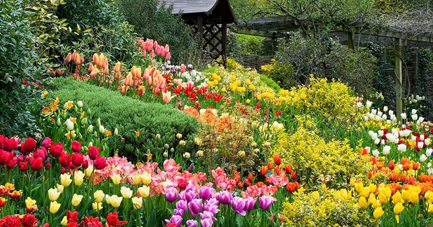 Vườn hoa và nông trại Đà Lạt