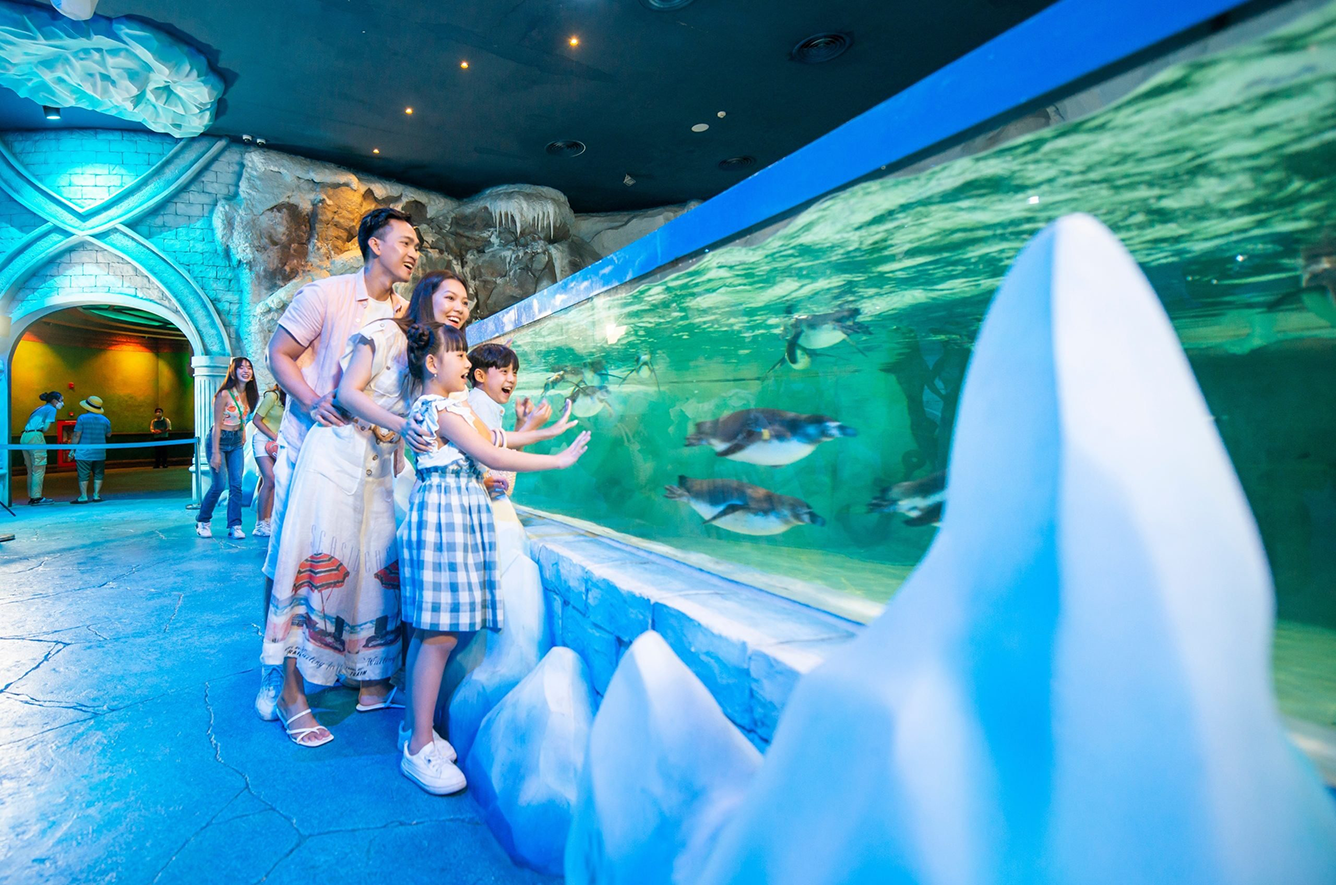 Bãi biển phù hợp gia đình đa thế hệ