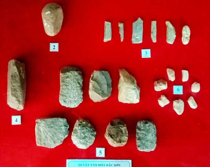 Góc chụp hoa trên triền đồi