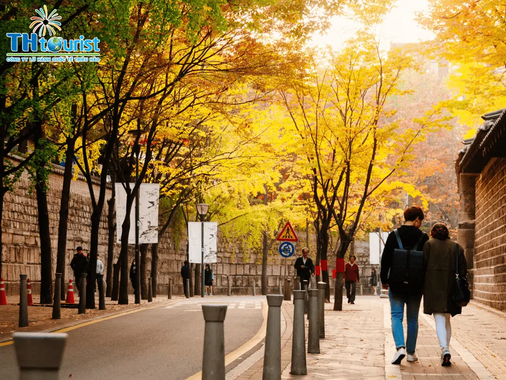 Đặt tour sớm mùa cao điểm