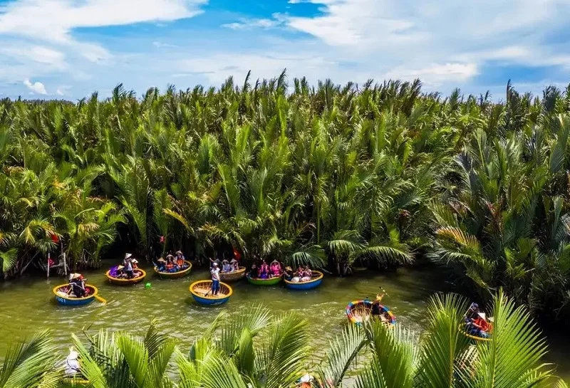 Vườn dừa Bến Tre