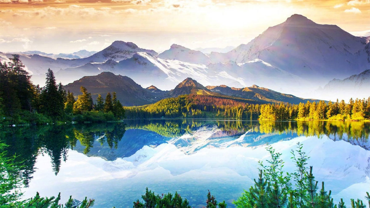 Ruộng bậc thang Sa Pa