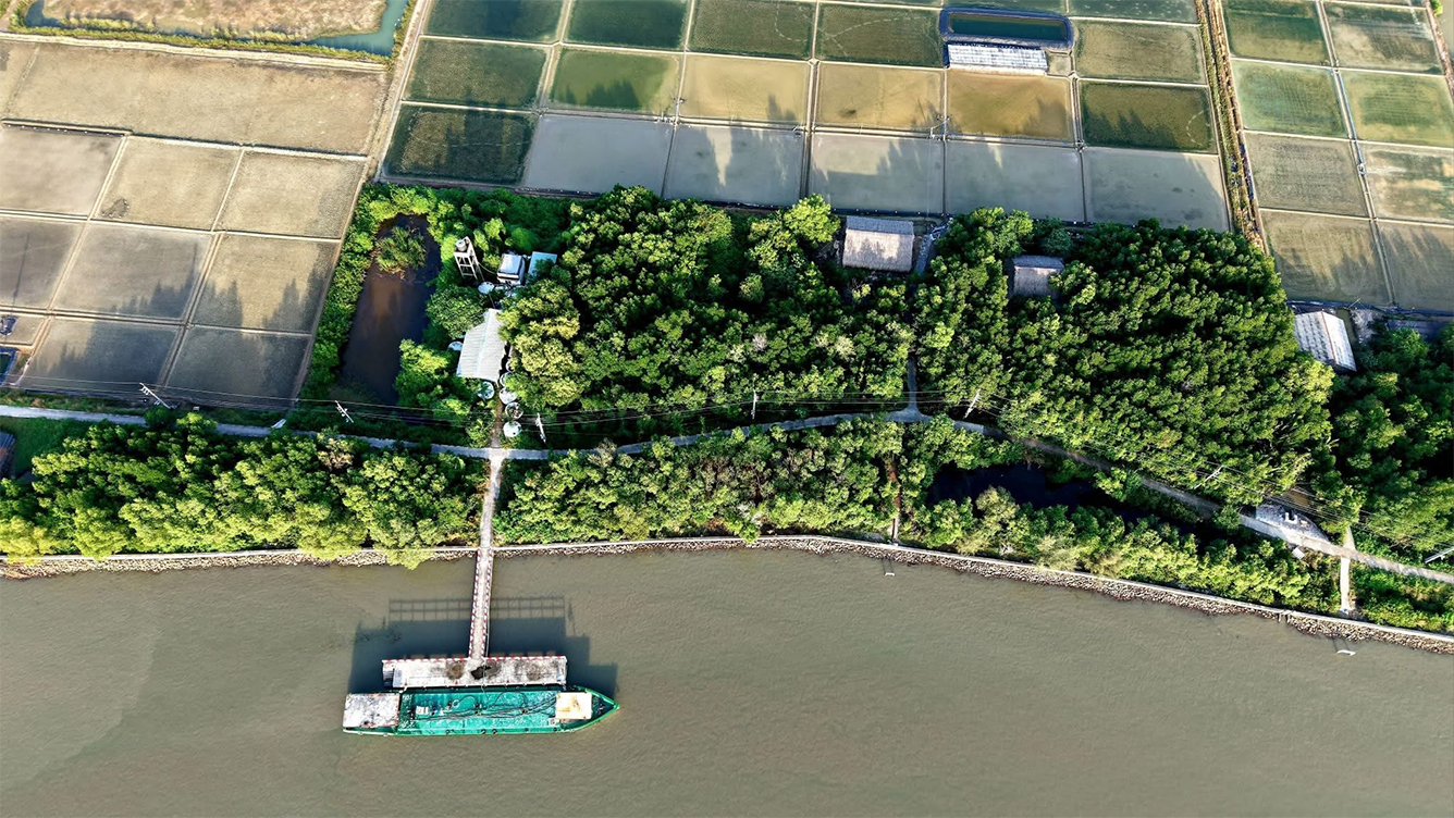 Lối nhỏ dẫn vào xóm đảo