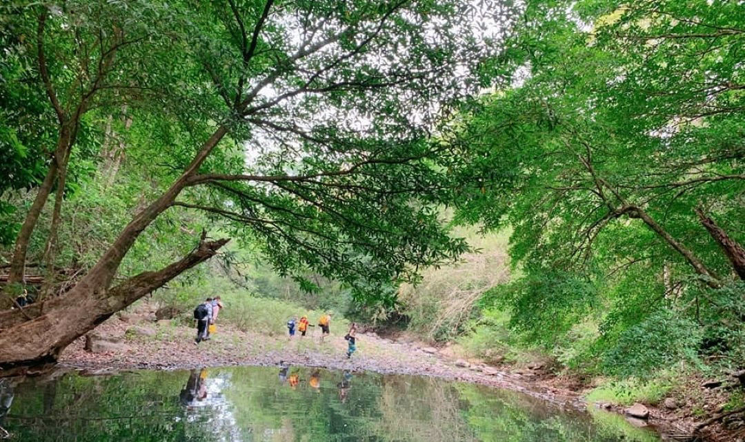 Rừng xanh Bù Gia Mập