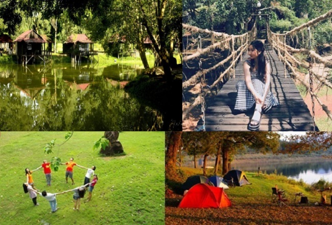 Không gian dã ngoại trung tâm Sài Gòn