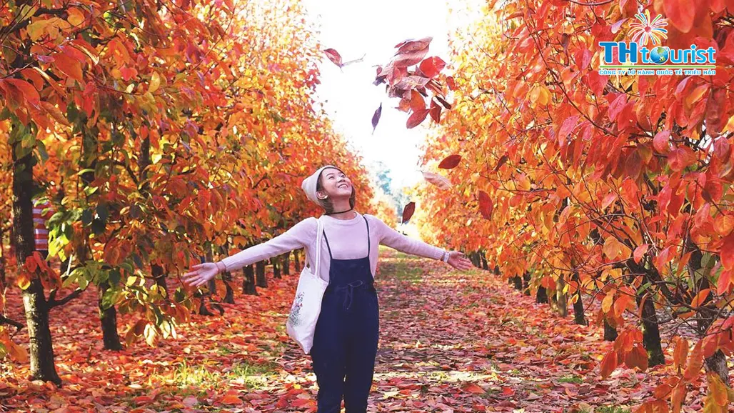 Giữ chỗ cho hành trình phù hợp