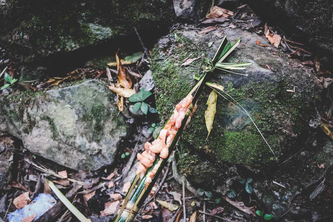 Thác nhiều tầng giữa rừng