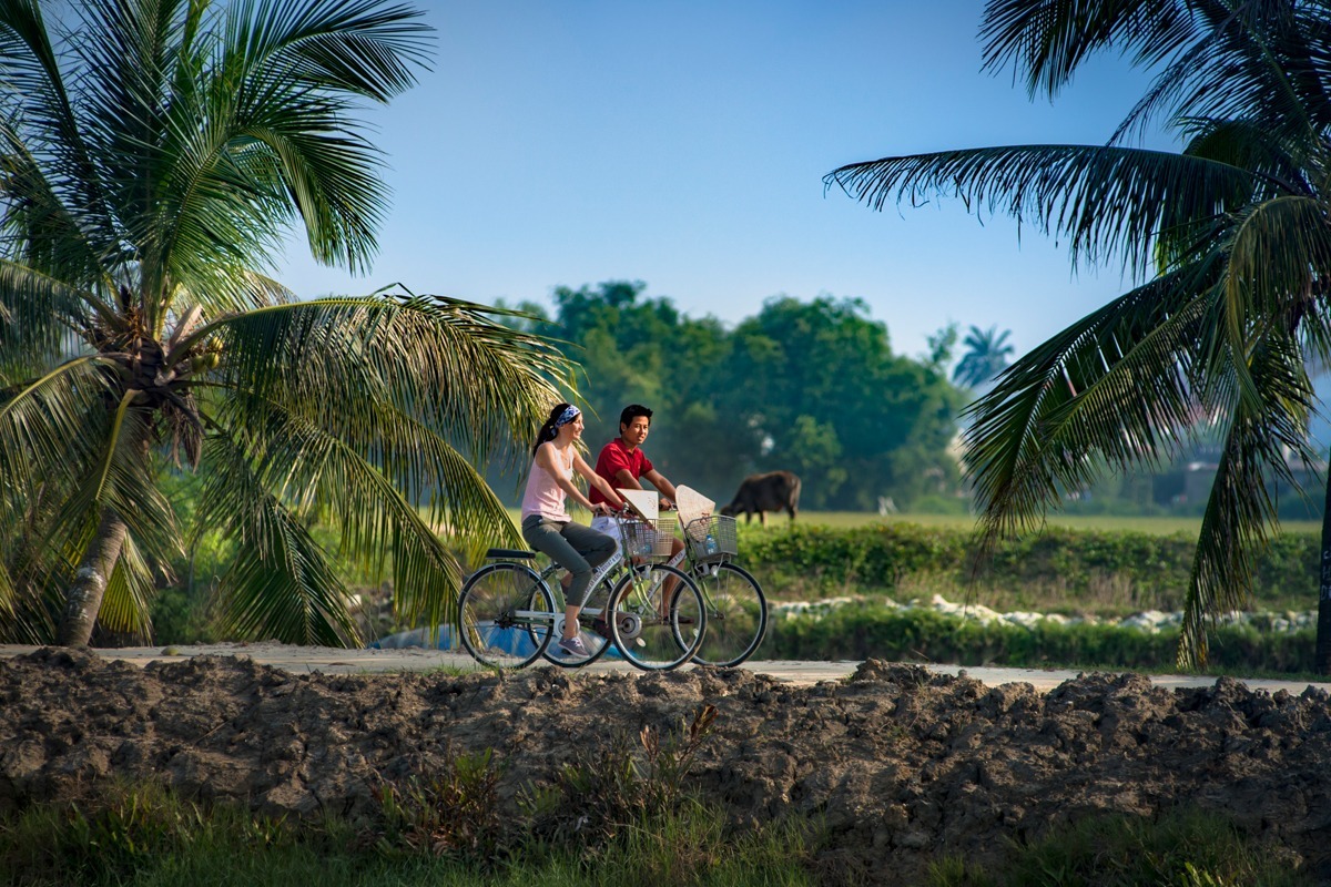 Một góc làng Cẩm Thanh xanh mát