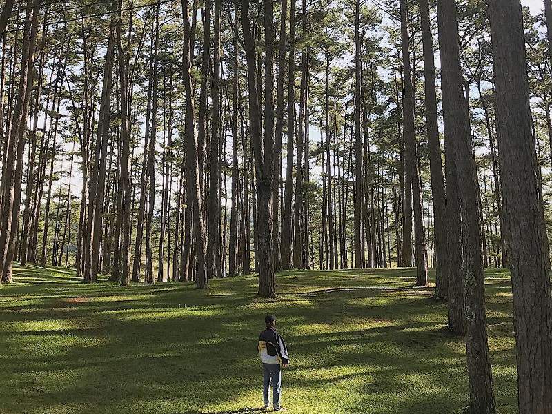 Hồ và thác Đà Lạt