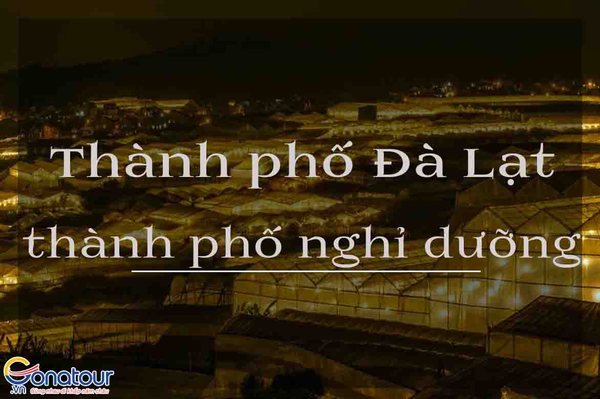 Góc phố Đà Lạt yên bình