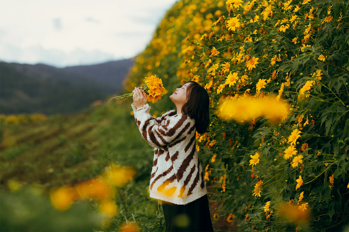 Thời tiết Đà Lạt cuối năm