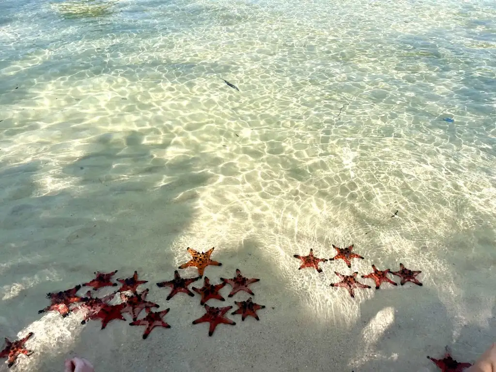 Bãi biển Phú Quý trong xanh