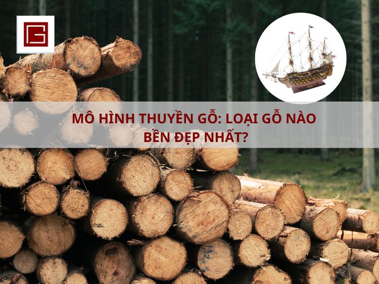Chọn loại du thuyền phù hợp