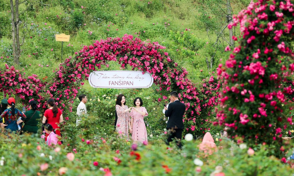 Ruộng bậc thang Sapa