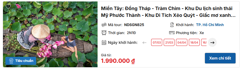 Hoa sen Đồng Tháp