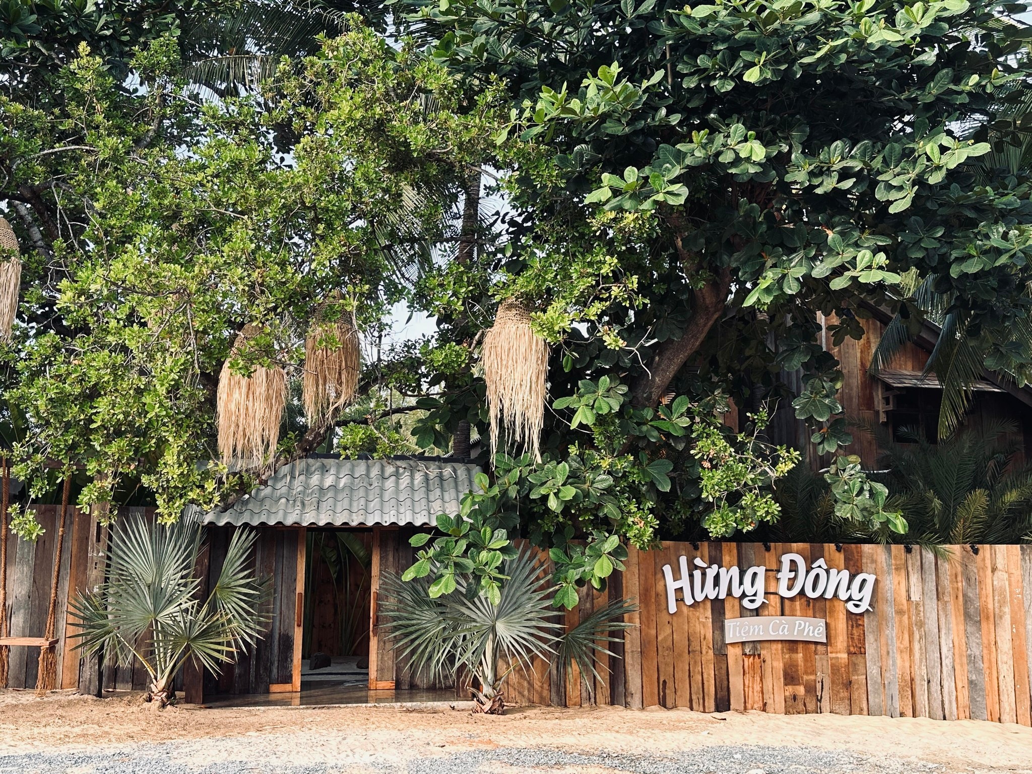 Không gian xanh mát tại Tiệm cà phê Hừng Đông