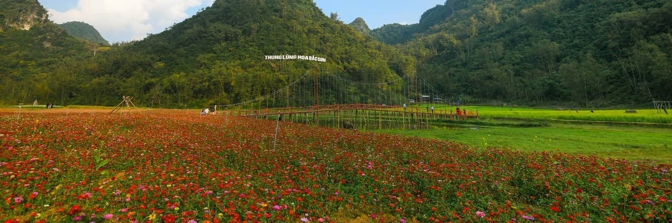 Khung cảnh thung lũng hoa