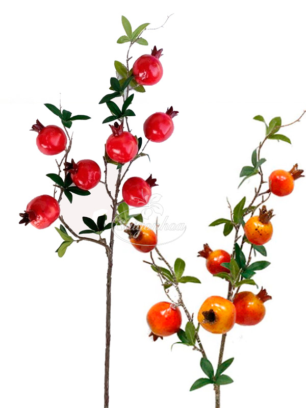 Bối cảnh lưu trú thực tế