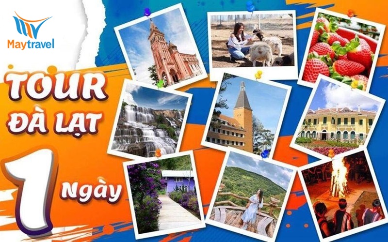 Buổi sáng ở Đà Lạt