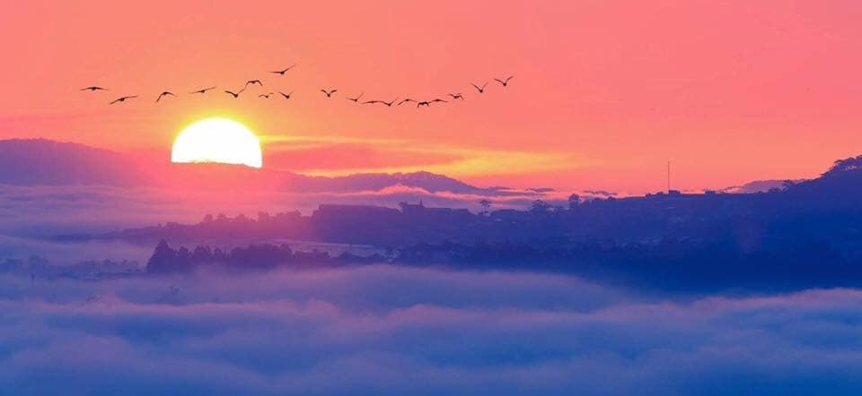 Sáng sớm Đà Lạt nhiều sương