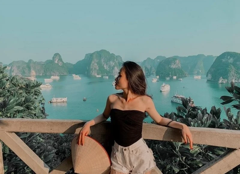 Set quần short và áo phông