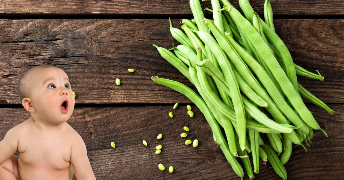 Đặt vé và nơi ở