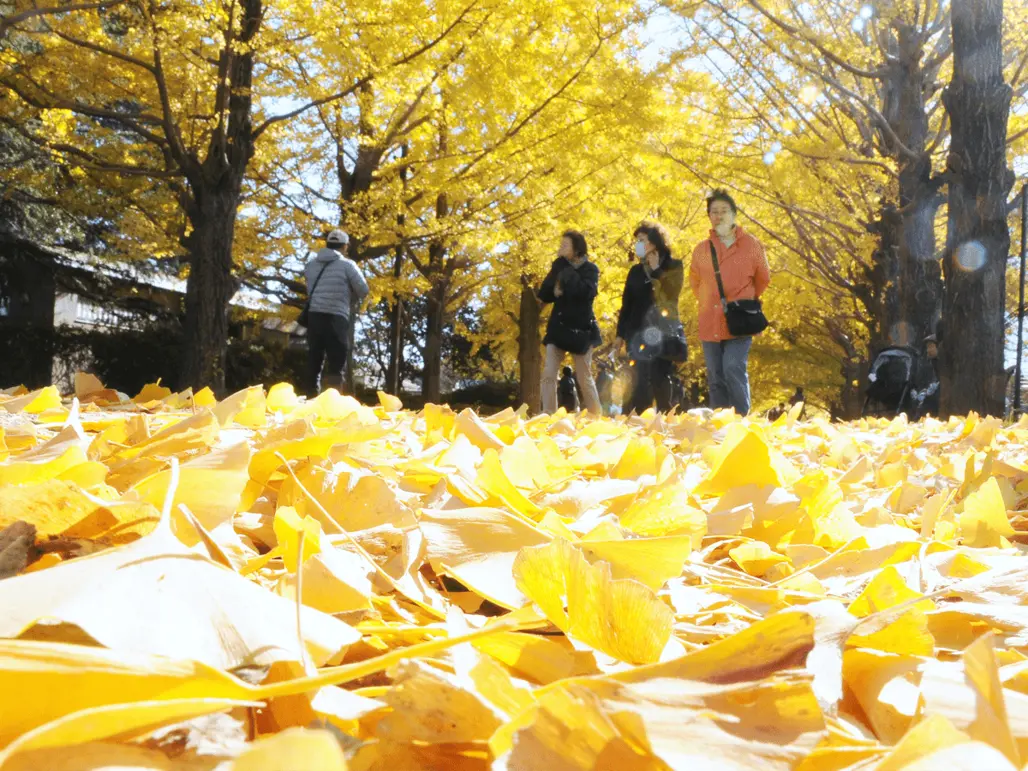 Kiểm tra giấy phép lữ hành