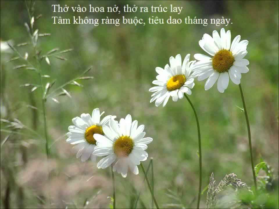 Tìm hiểu điểm đến trước chuyến đi