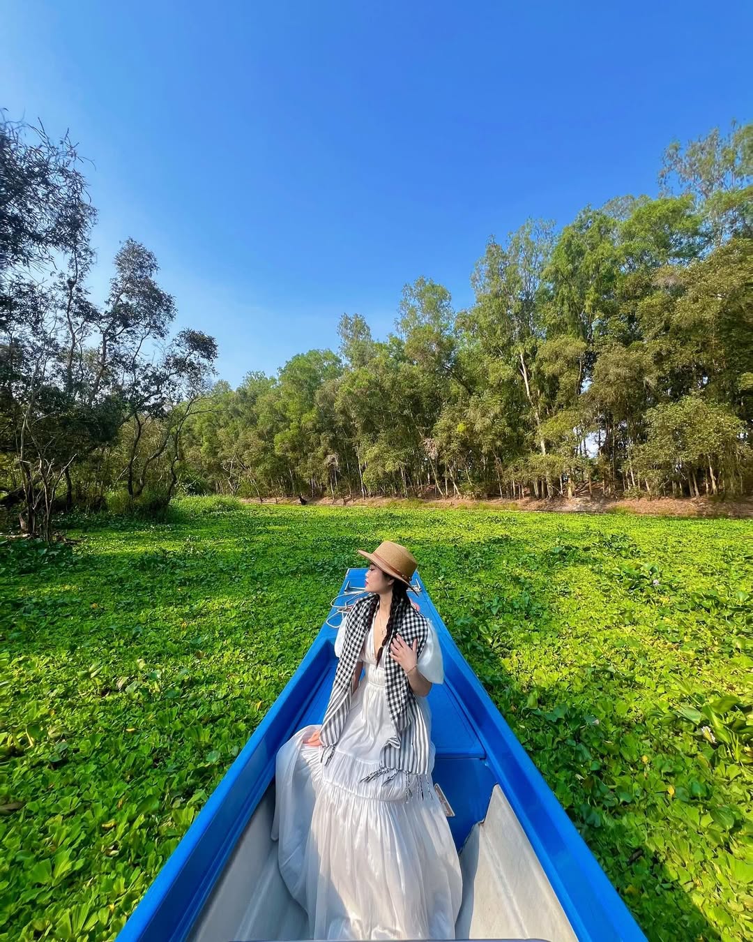 Rừng tràm xanh ngắt mùa nước