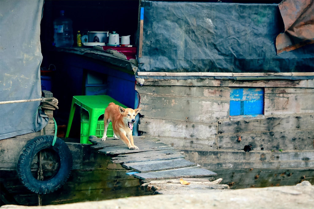 Bờ nước và lối đi đất