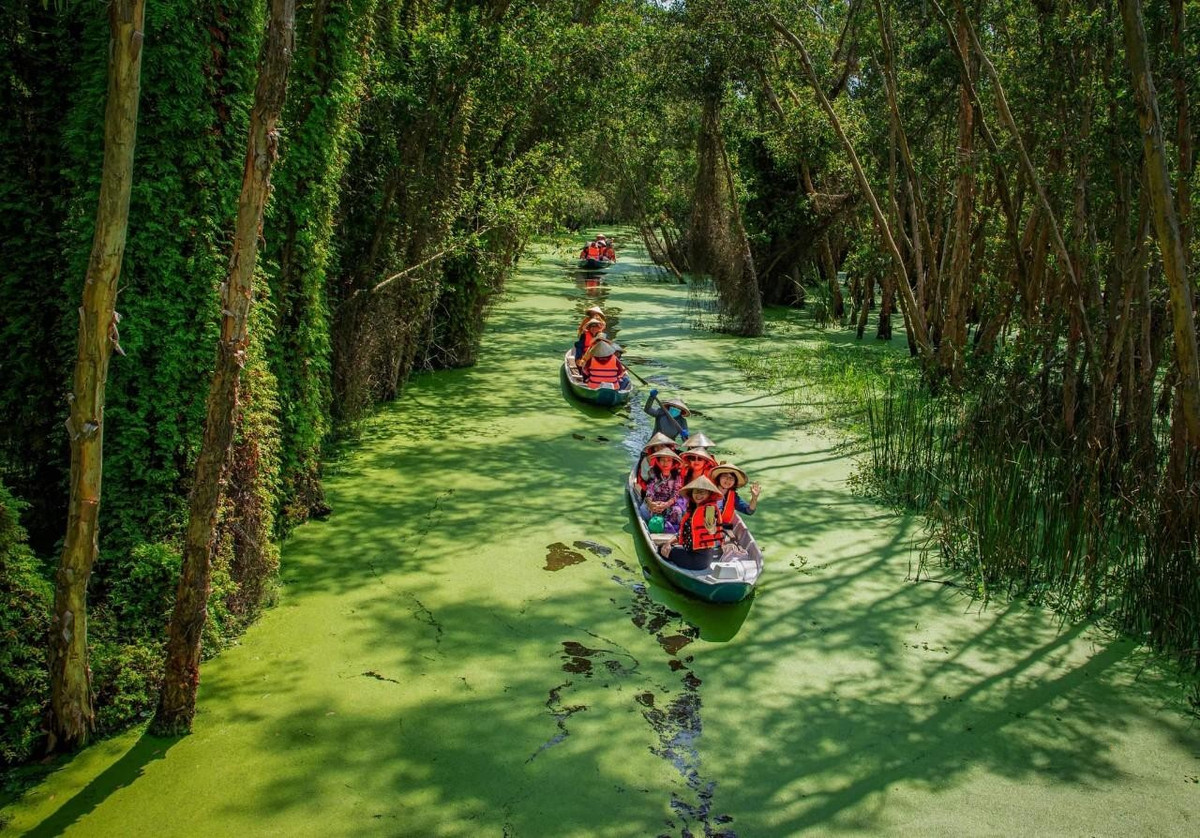 Rừng tràm mùa nước nổi