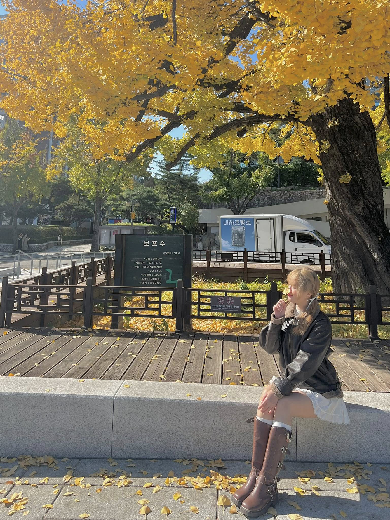 Phối đồ du lịch Hàn Quốc