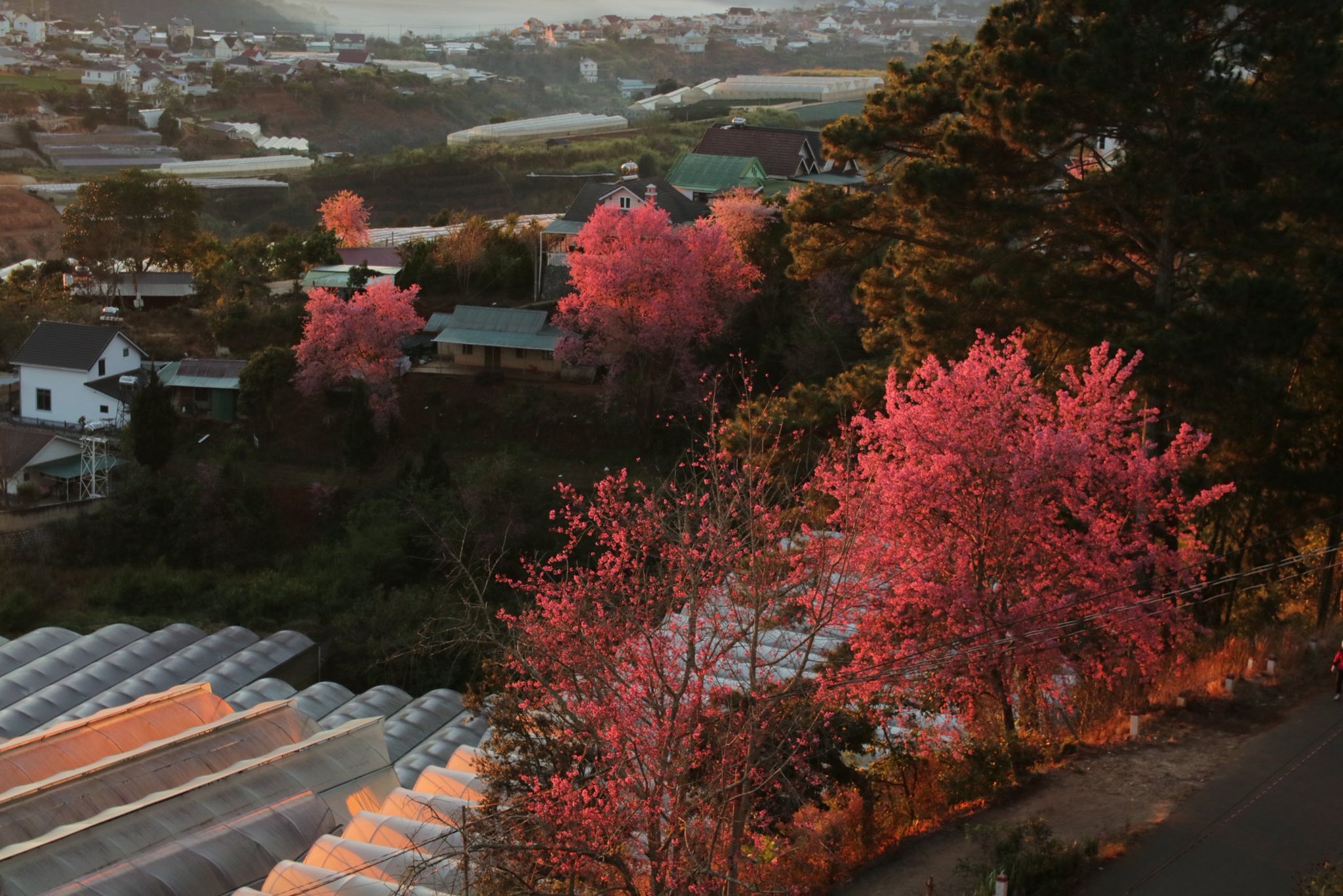 Đà Lạt yên bình