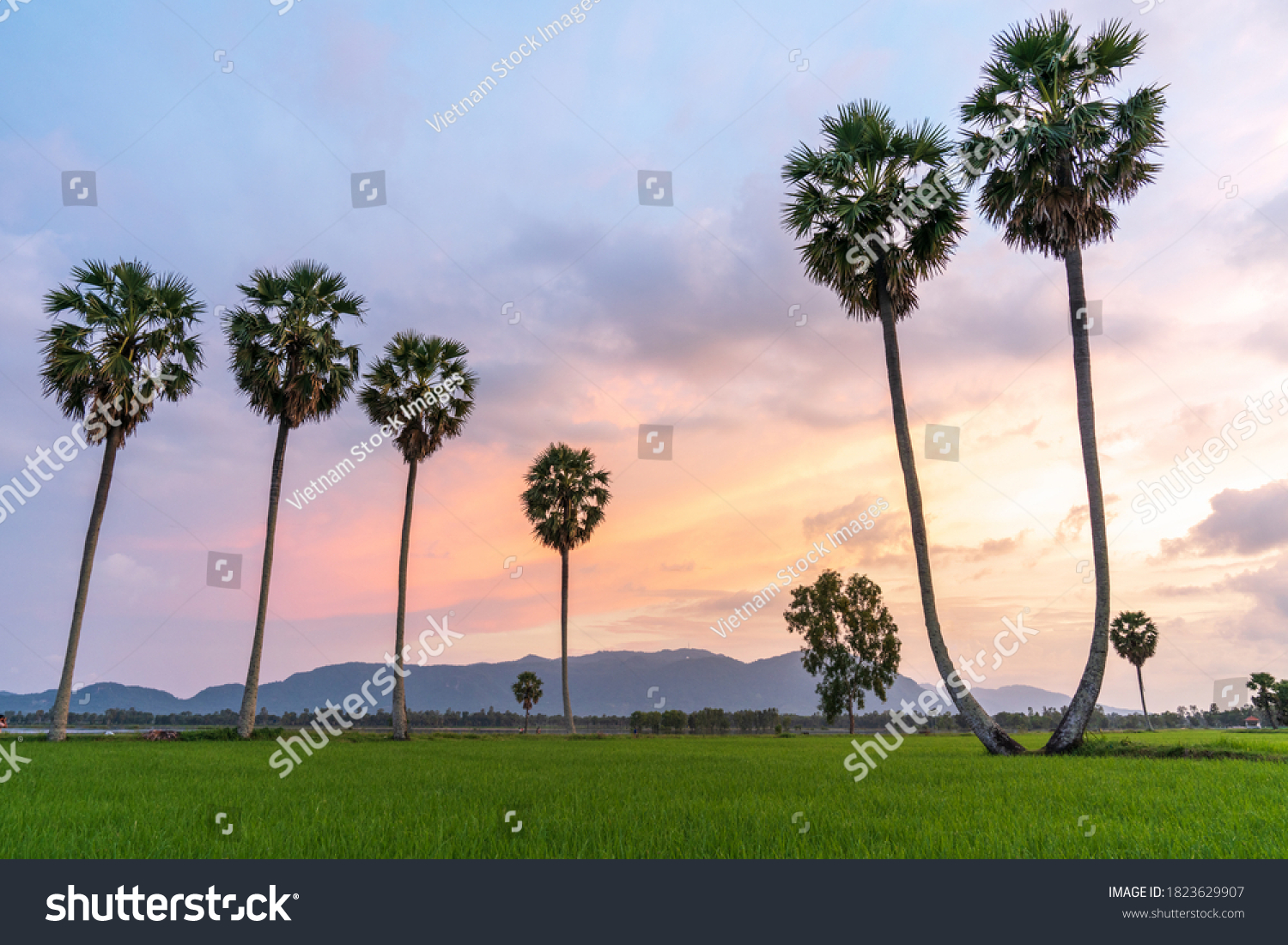 Khung cảnh An Giang lúc hoàng hôn