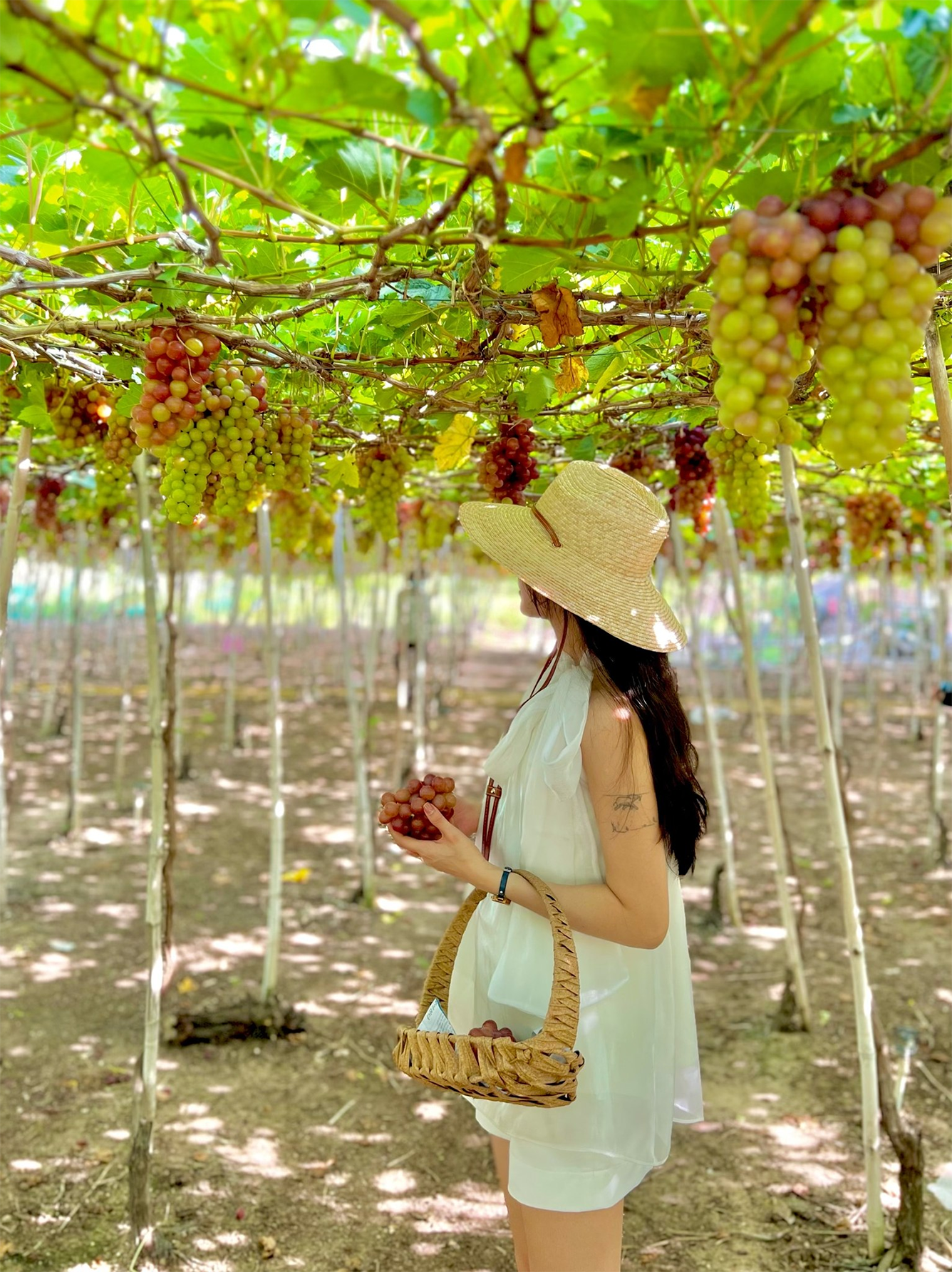 Lịch trình tour Phan Rang 3 ngày 2 đêm