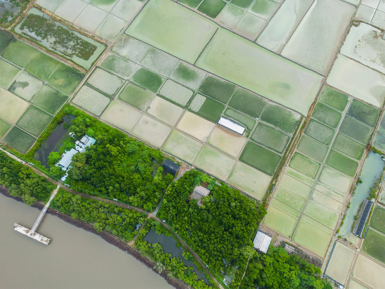 Mặt nước quanh đảo Thiềng Liềng