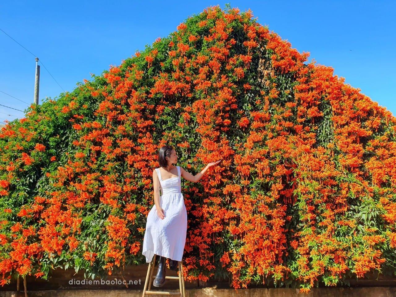 Lịch trình Tết ngắn