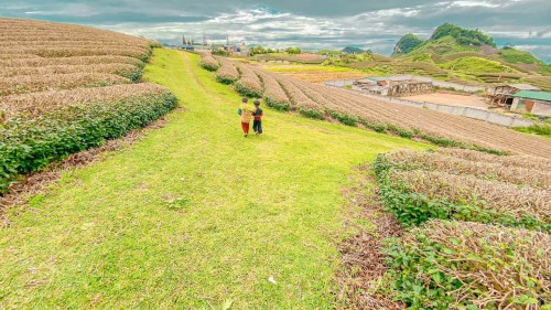 Mở bài có bối cảnh