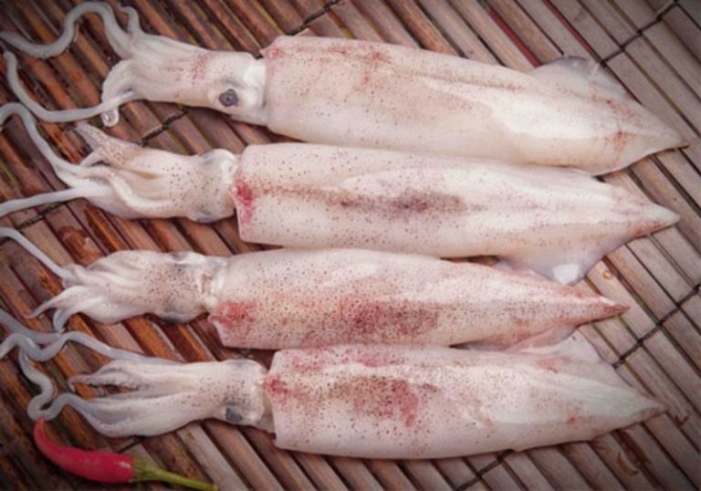 Bố cục bài đi biển