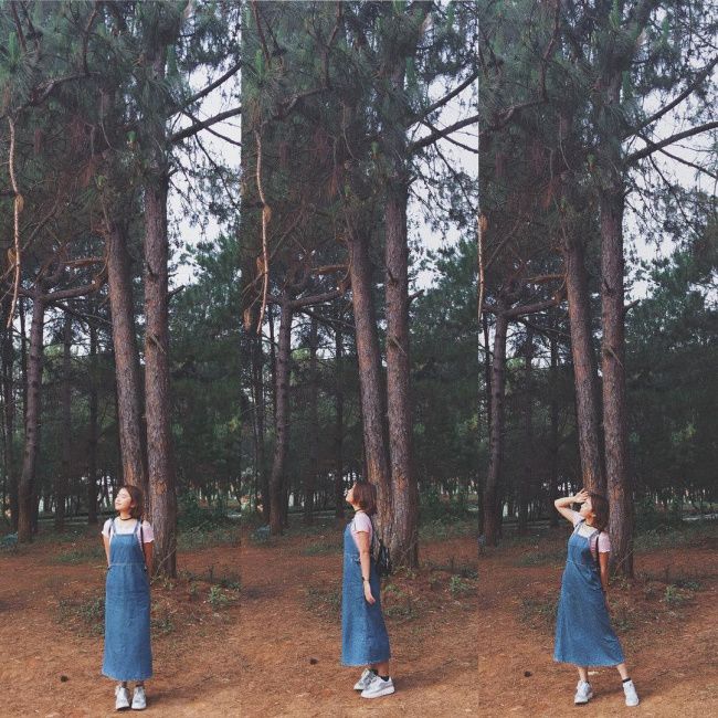 Cảnh núi gần Hà Nội