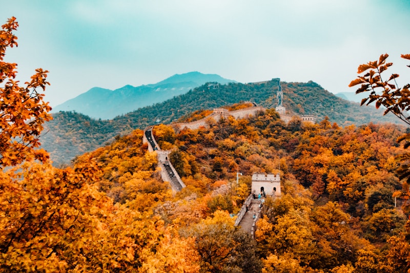 Rừng ngập mặn Cần Giờ