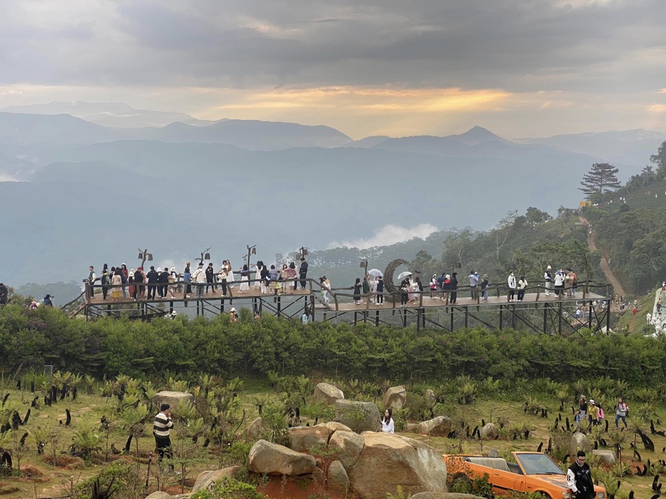 Bình minh trên đồi chè Cầu Đất