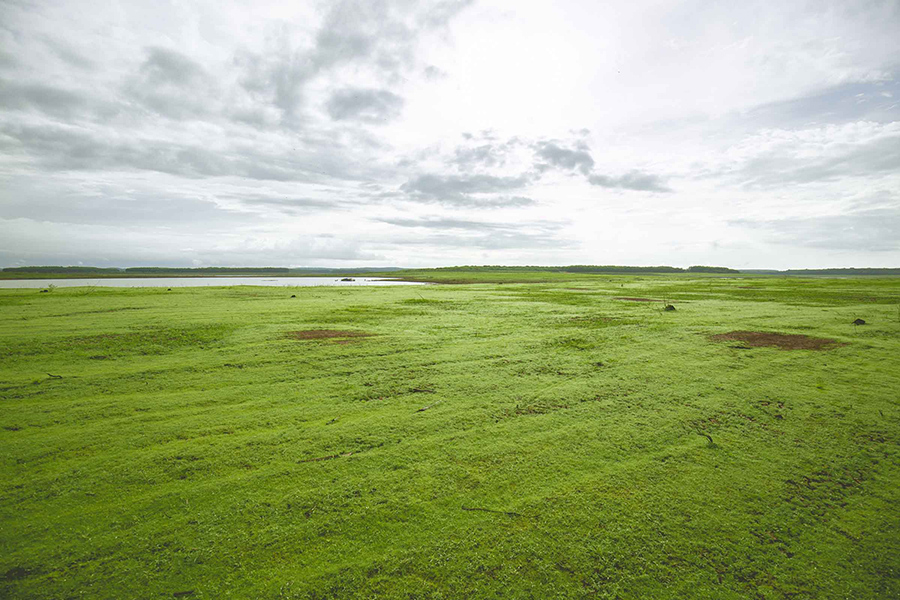 Không gian nghỉ dưỡng ven hồ