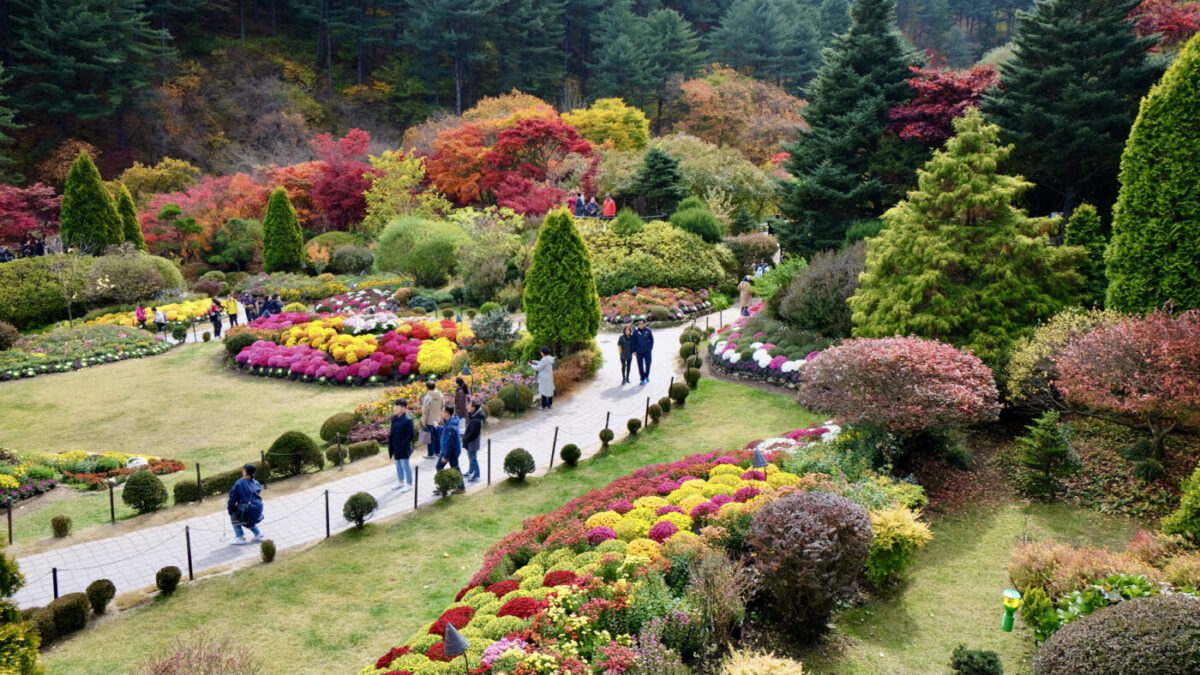 Khu vườn yên tĩnh ở Gapyeong