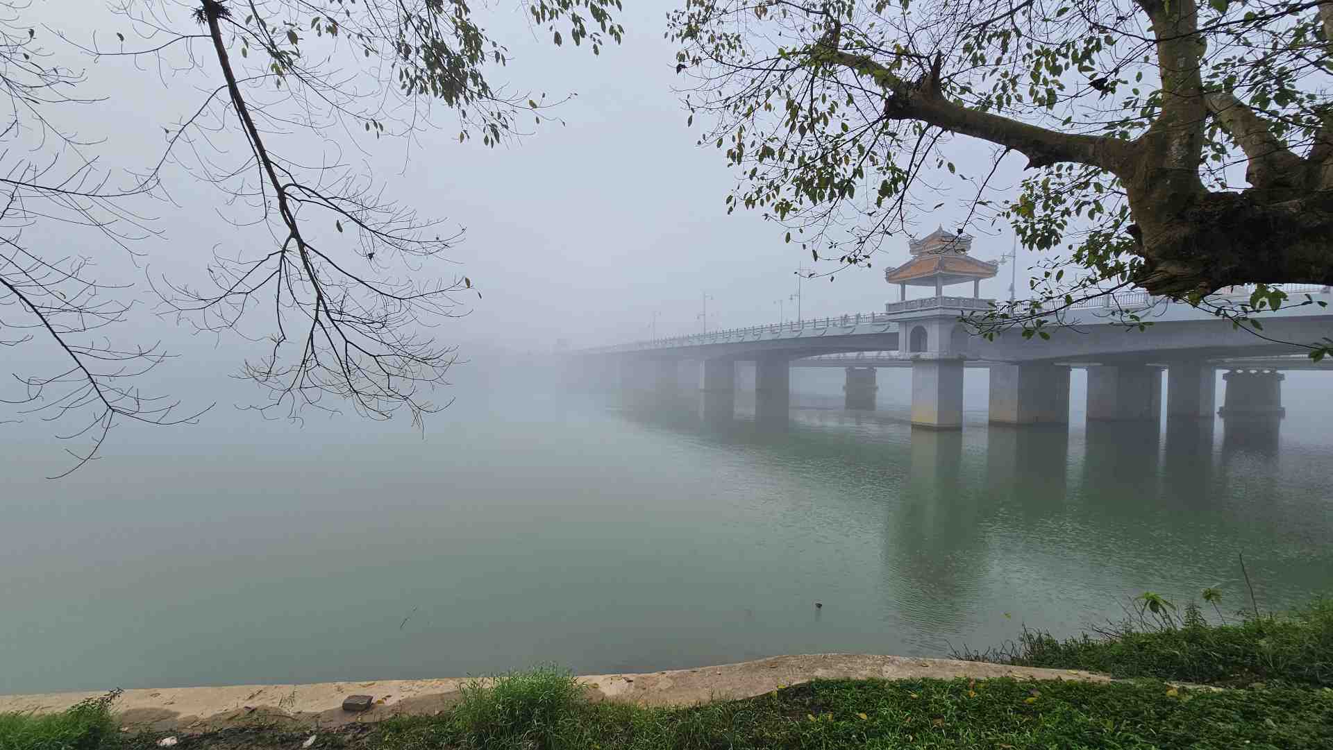 Cung đường Măng Đen trong sương