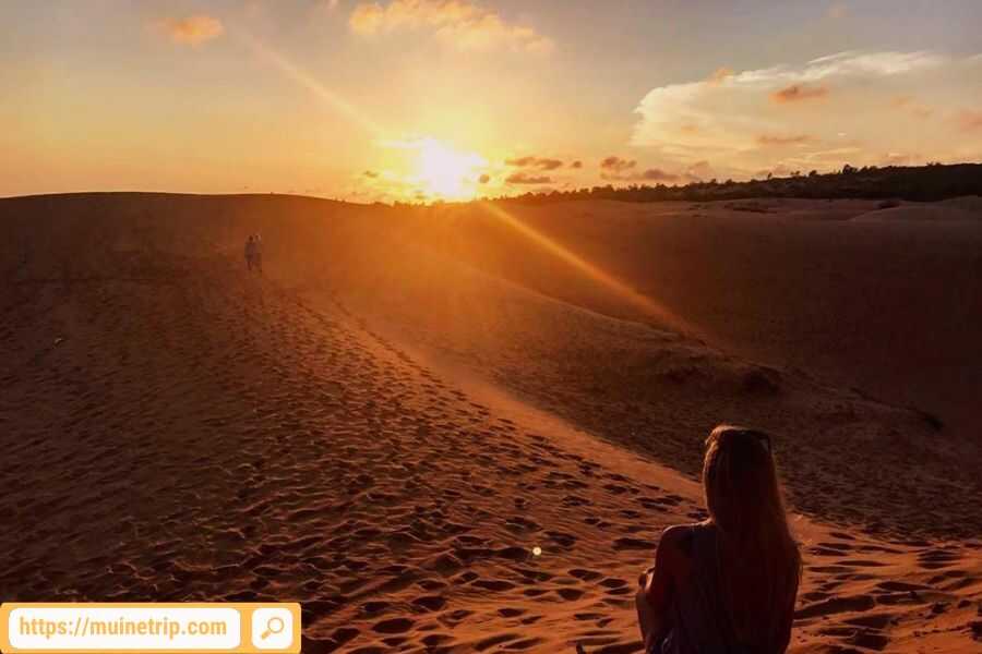 Ảnh đồi cát lúc hoàng hôn