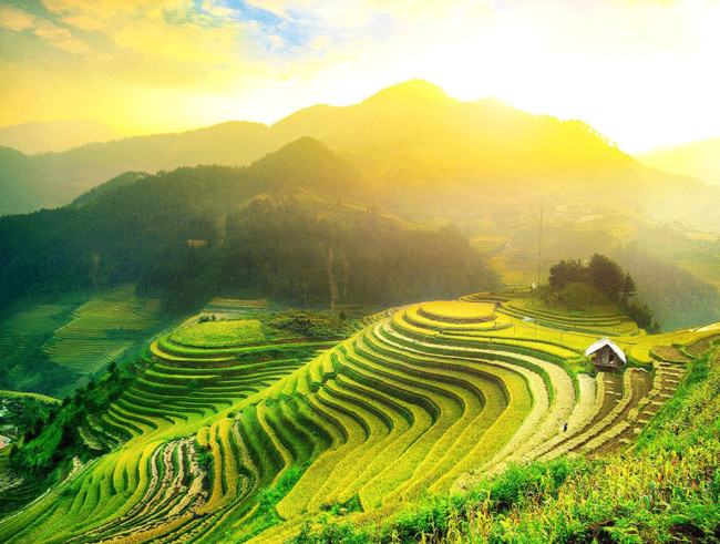 Ruộng bậc thang Tây Bắc