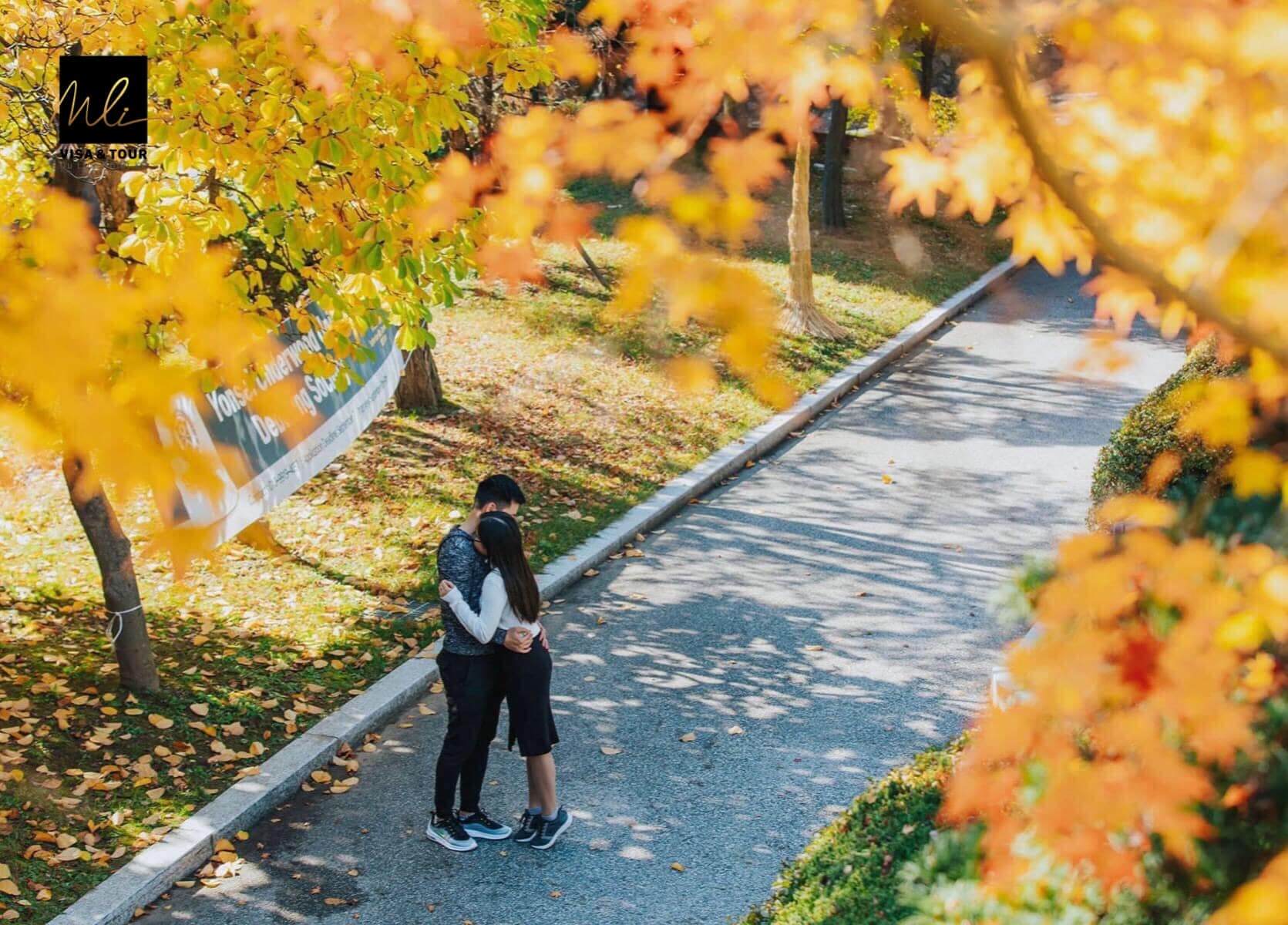 Khung cảnh lá đỏ Hàn Quốc